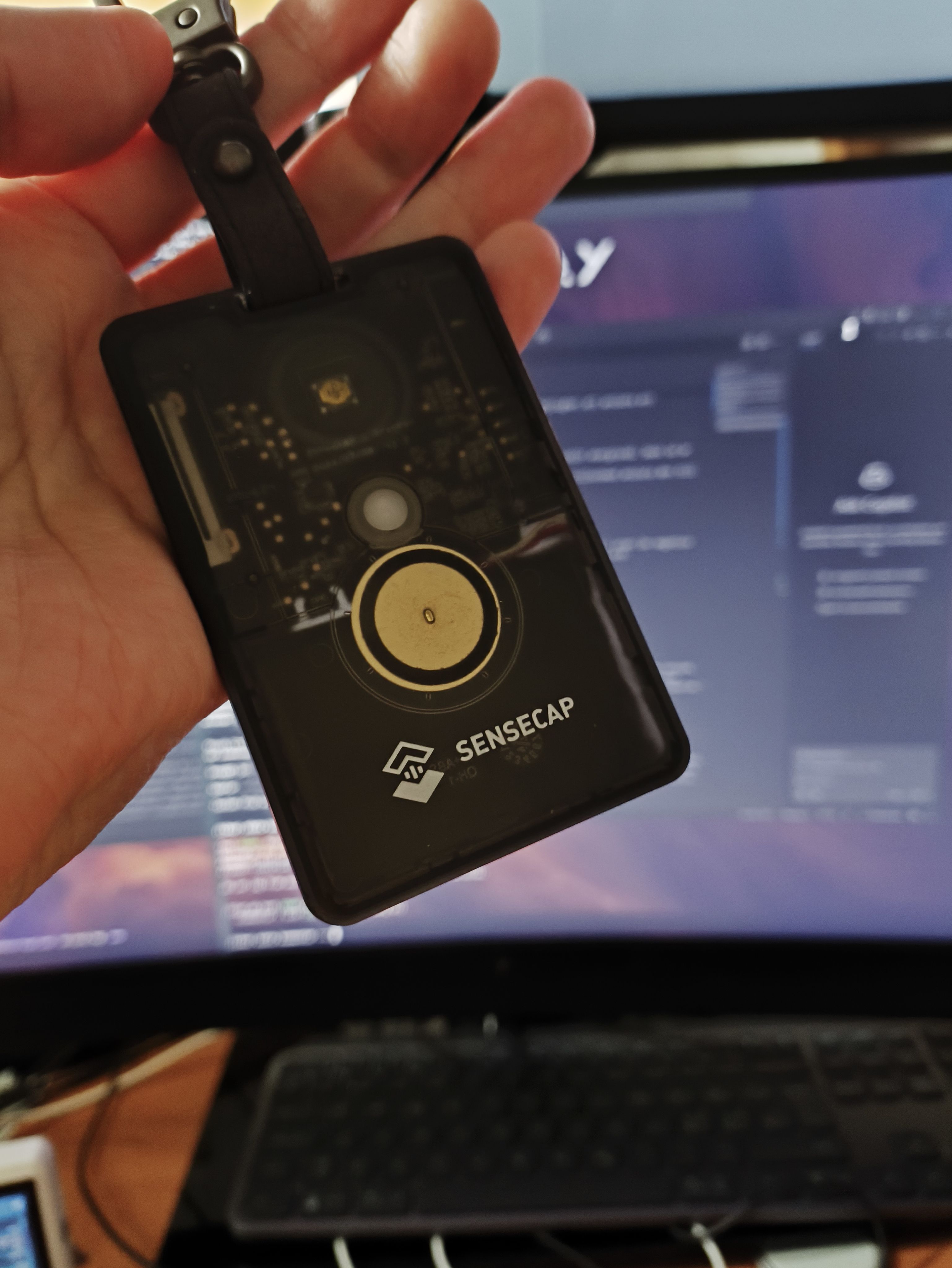 Seeed Studio SenseCAP t1000-e